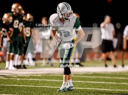 Thumbnail 2 in Horizon @ Campo Verde photogallery.