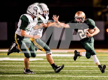Thumbnail 2 in Horizon @ Campo Verde photogallery.