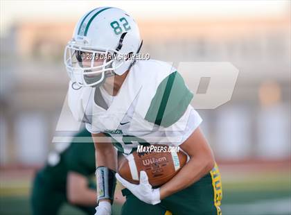 Thumbnail 2 in Horizon @ Campo Verde photogallery.
