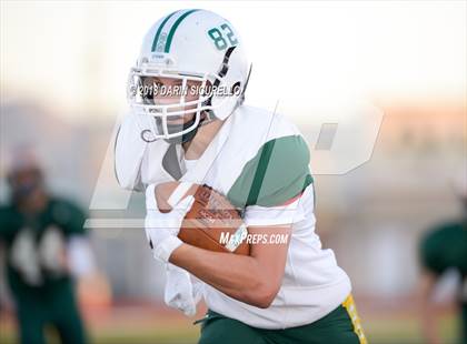 Thumbnail 3 in Horizon @ Campo Verde photogallery.
