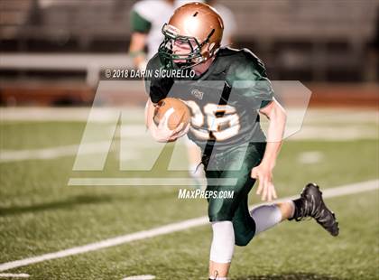 Thumbnail 2 in Horizon @ Campo Verde photogallery.