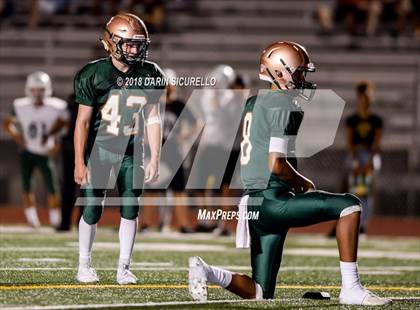 Thumbnail 3 in Horizon @ Campo Verde photogallery.