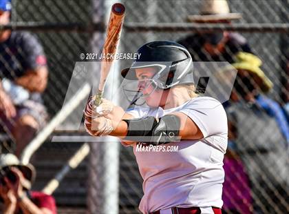 Thumbnail 3 in Hamilton @ Basha photogallery.