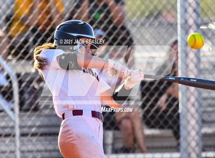 Thumbnail 2 in Hamilton @ Basha photogallery.