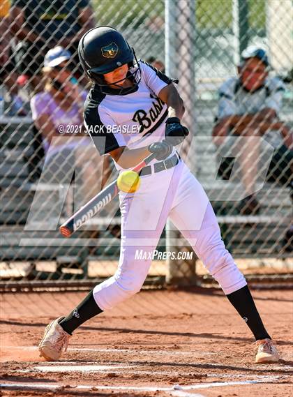 Thumbnail 3 in Hamilton @ Basha photogallery.