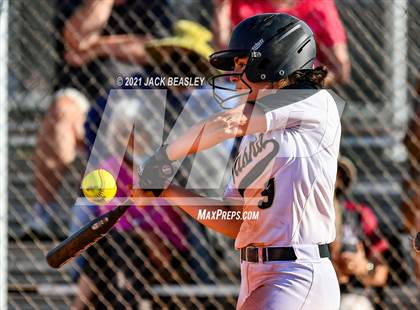 Thumbnail 2 in Hamilton @ Basha photogallery.