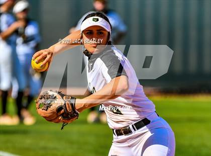 Thumbnail 3 in Hamilton @ Basha photogallery.