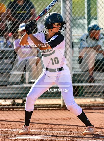 Thumbnail 1 in Hamilton @ Basha photogallery.