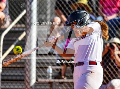 Thumbnail 1 in Hamilton @ Basha photogallery.
