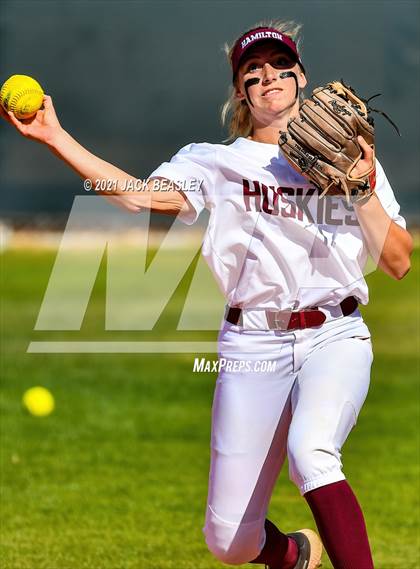 Thumbnail 3 in Hamilton @ Basha photogallery.