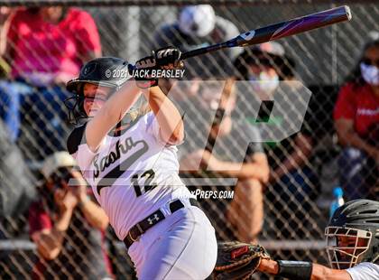Thumbnail 2 in Hamilton @ Basha photogallery.