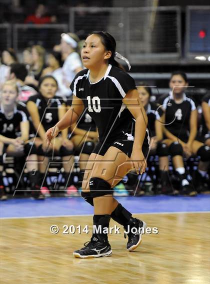 Thumbnail 1 in Page vs. Tuba City (AIA D3 Playoff) photogallery.