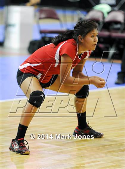 Thumbnail 2 in Page vs. Tuba City (AIA D3 Playoff) photogallery.