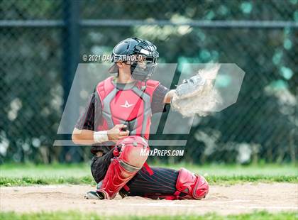 Thumbnail 2 in Milton @ Needham photogallery.