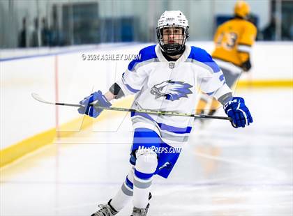 Thumbnail 2 in Port Huron Northern vs White Lake Lakeland (MHSAA Division 2 Quarterfinal) photogallery.