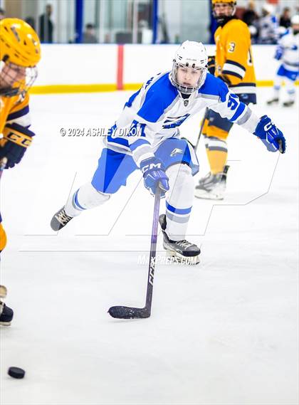 Thumbnail 3 in Port Huron Northern vs White Lake Lakeland (MHSAA Division 2 Quarterfinal) photogallery.