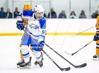 Thumbnail 2 in Port Huron Northern vs White Lake Lakeland (MHSAA Division 2 Quarterfinal) photogallery.