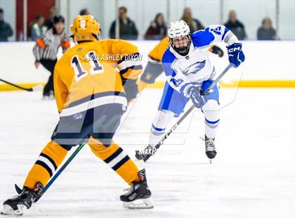 Thumbnail 1 in Port Huron Northern vs White Lake Lakeland (MHSAA Division 2 Quarterfinal) photogallery.