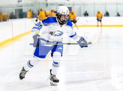 Thumbnail 2 in Port Huron Northern vs White Lake Lakeland (MHSAA Division 2 Quarterfinal) photogallery.