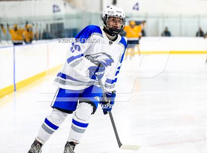 Thumbnail 1 in Port Huron Northern vs White Lake Lakeland (MHSAA Division 2 Quarterfinal) photogallery.