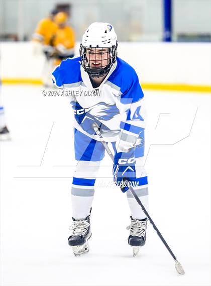 Thumbnail 1 in Port Huron Northern vs White Lake Lakeland (MHSAA Division 2 Quarterfinal) photogallery.