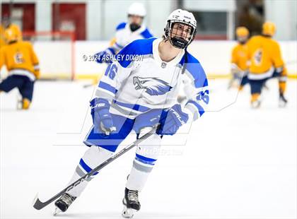 Thumbnail 2 in Port Huron Northern vs White Lake Lakeland (MHSAA Division 2 Quarterfinal) photogallery.