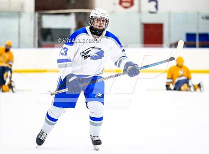 Thumbnail 1 in Port Huron Northern vs White Lake Lakeland (MHSAA Division 2 Quarterfinal) photogallery.