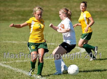 Thumbnail 2 in New London @ Plainfield photogallery.