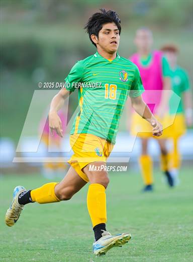 null - Photo 21