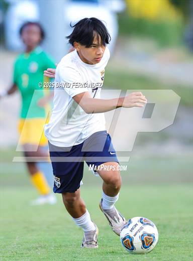 null - Photo 21