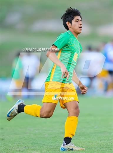 null - Photo 01