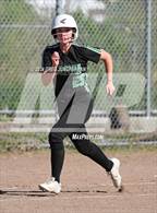 Photo from the gallery "Archie Williams @ Redwood (CIF NCS MCAL Playoff)"