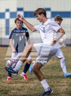 Photo from the gallery "Skyline @ Brighton"