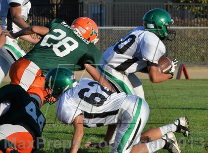 Thumbnail 1 in JV: El Camino @ Mesa Verde photogallery.