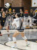 Photo from the gallery "Mesquite @ Gilbert"