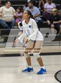 Photo from the gallery "Mesquite @ Gilbert"