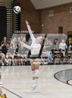 Photo from the gallery "Mesquite @ Gilbert"