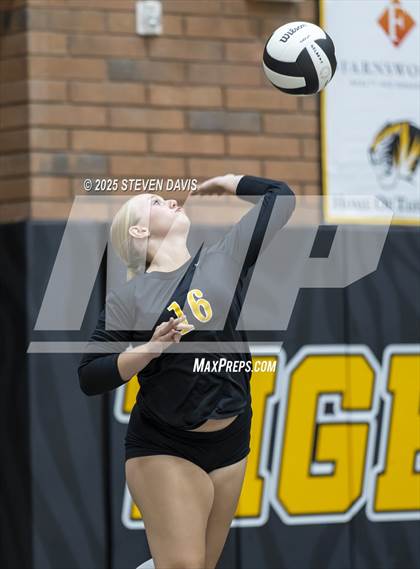 Thumbnail 1 in Mesquite @ Gilbert photogallery.