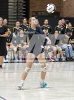 Photo from the gallery "Mesquite @ Gilbert"