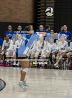 Photo from the gallery "Mesquite @ Gilbert"