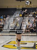 Photo from the gallery "Mesquite @ Gilbert"