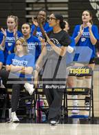 Photo from the gallery "Mesquite @ Gilbert"