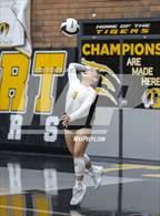 Photo from the gallery "Mesquite @ Gilbert"