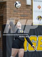 Photo from the gallery "Mesquite @ Gilbert"