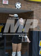 Photo from the gallery "Mesquite @ Gilbert"