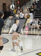 Photo from the gallery "Mesquite @ Gilbert"