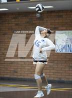 Photo from the gallery "Mesquite @ Gilbert"