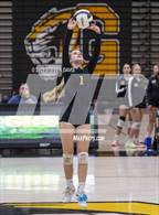 Photo from the gallery "Mesquite @ Gilbert"