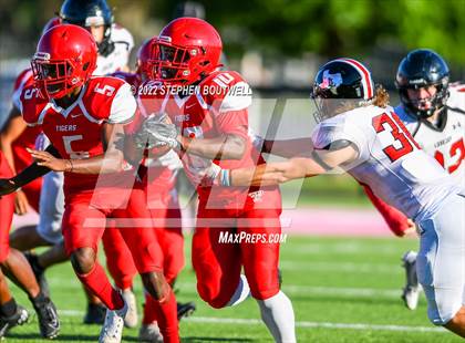 Thumbnail 1 in Lovejoy @ Terrell photogallery.