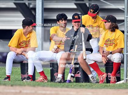 Thumbnail 1 in Williamsville East @ Hamburg photogallery.